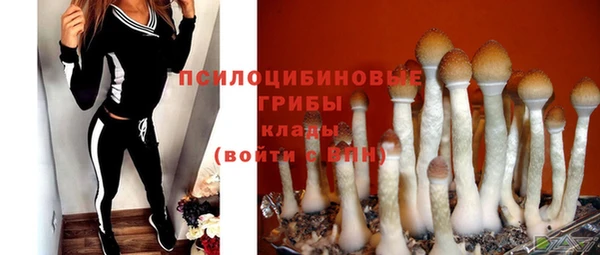 MDMA Богданович