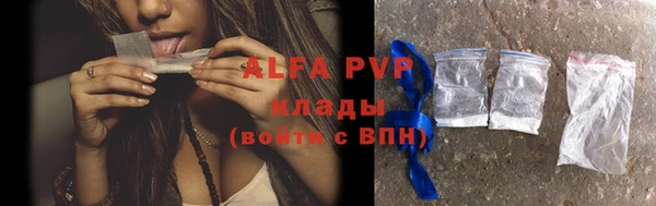 apvp Богородск