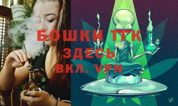 стаф Богородицк