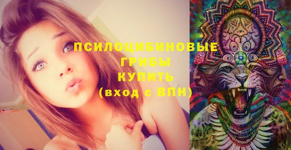 MDMA Богданович