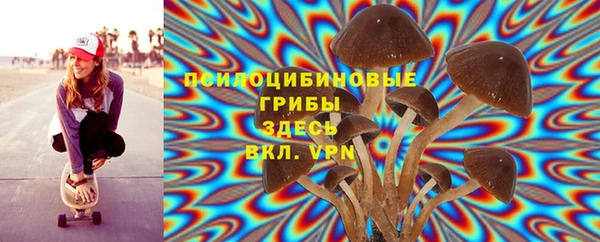 стаф Богородицк