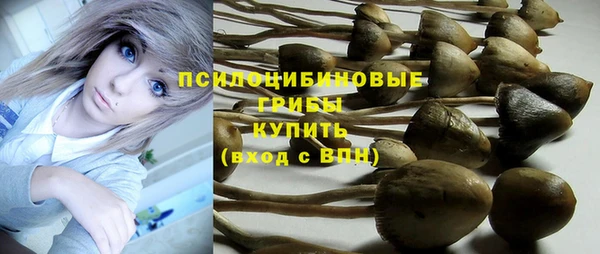 apvp Богородск